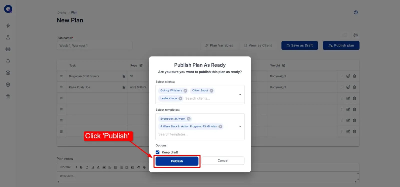 A published plan sitting in the Upcoming section of a client's account