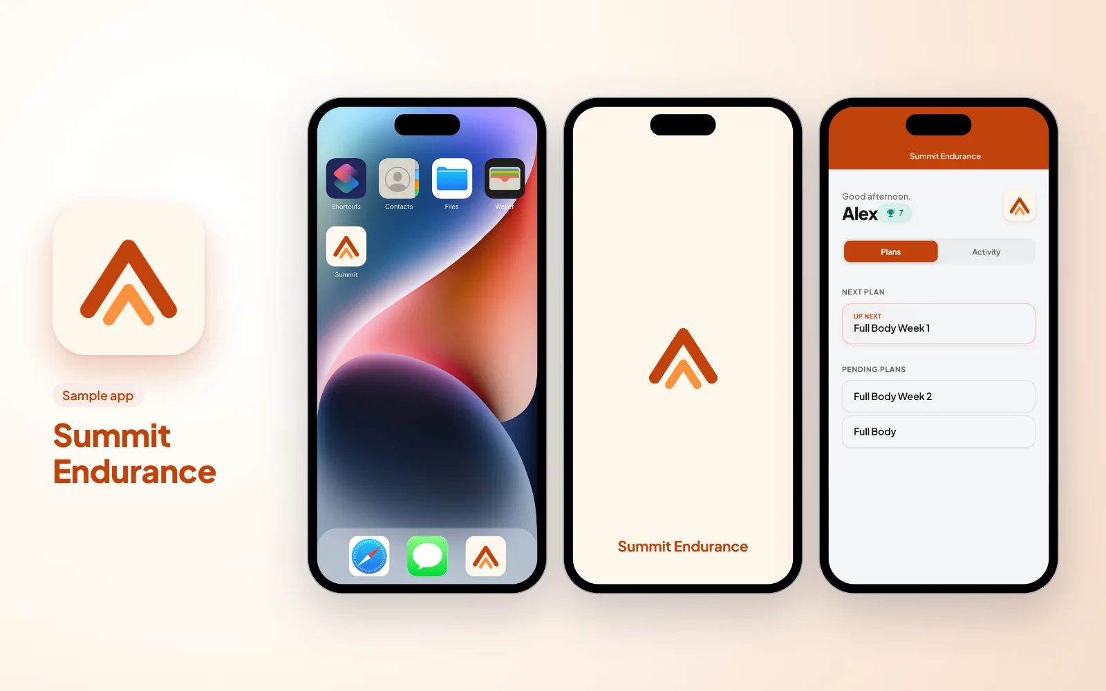 Sample branded app for an endurance coach: the Summit Endurance icon, then the app on a phone home screen, its splash screen and the client's plans in its colours