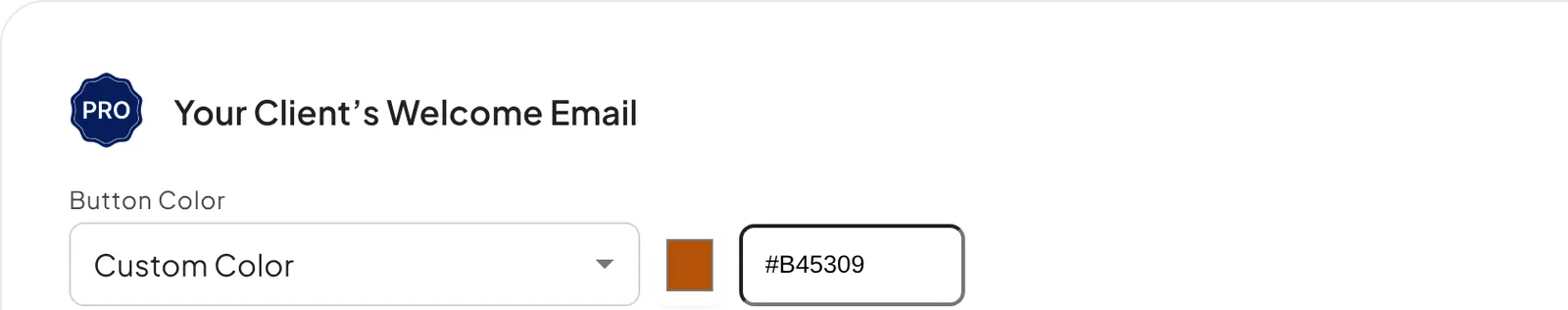 The Button Color dropdown set to Custom Color, with an orange colour box and the hex code #B45309 beside it