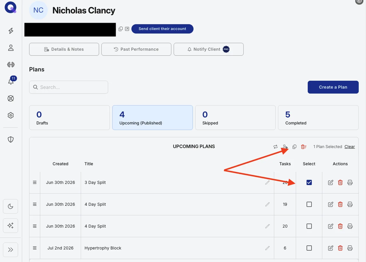 Selected plans in a client's account with the duplicate icon highlighted