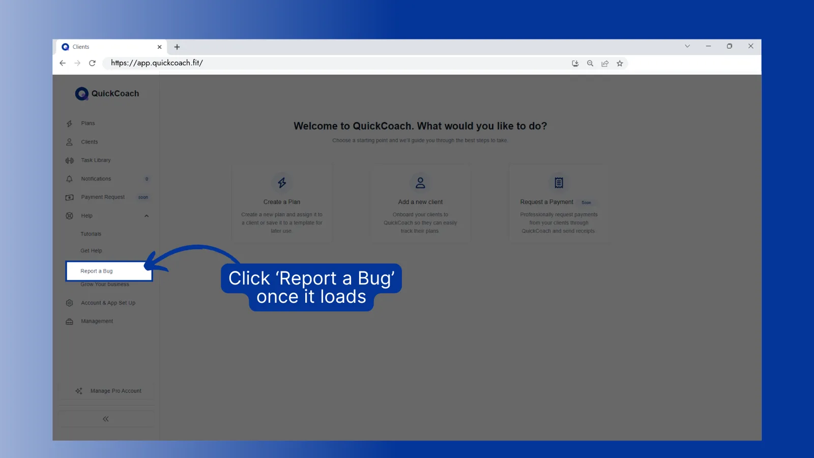 The expanded Help menu with Report a Bug highlighted